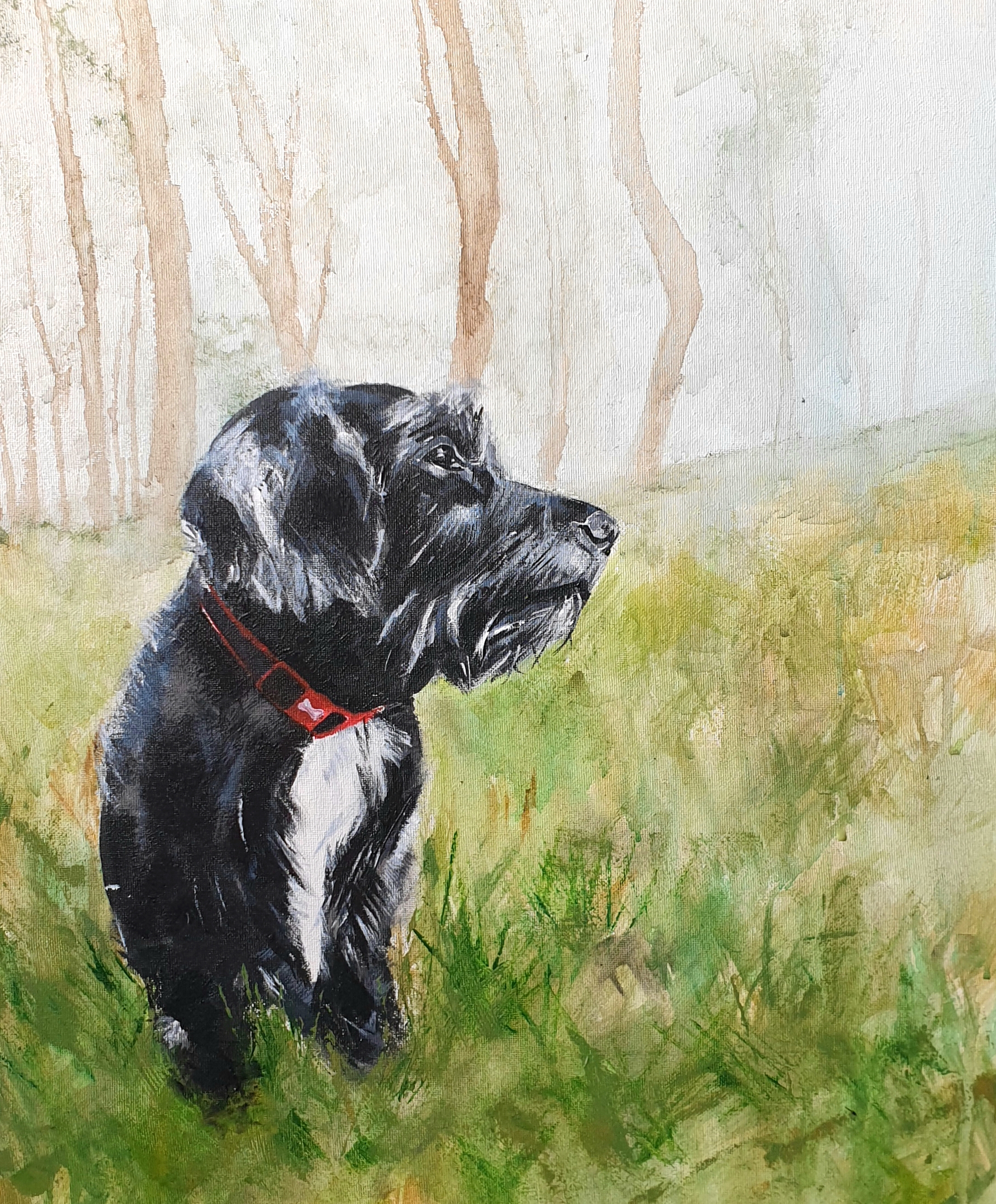 Lucy © Emma Bowen 2018